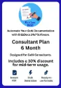 Consultant Plan – 6 Months